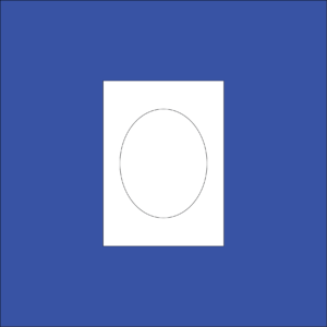 Vinyl  OVAAL 100mm x 80mm